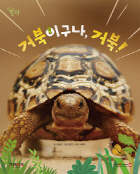 거북이구나， 거북!