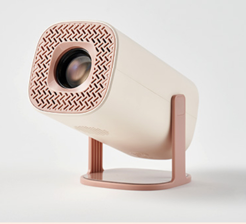 T100065.jpg